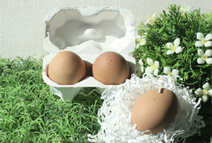 [부활절 계란]이환진 성도의 맥반석 구운 계란 (2구, 중란, 종이포장)